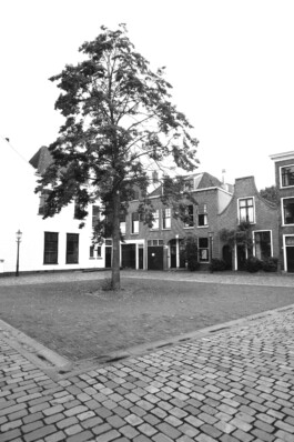 NADIANENA